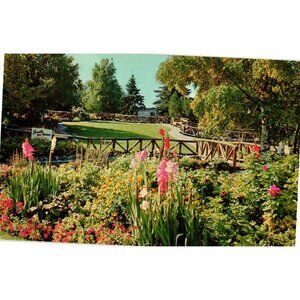 Calgary Alberta 1960s Postcard Calgary Brewing Gardens Floral Display Pre-Owned